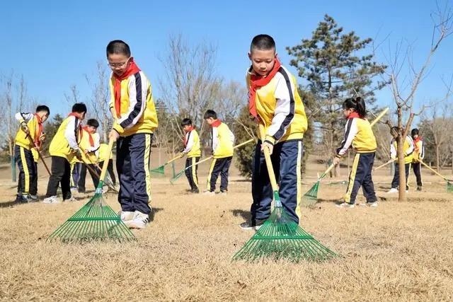 △2024年3月12日，北京城市綠心森林公園，參加植樹節(jié)主題活動的學(xué)生們學(xué)習義務(wù)植樹知識，并進行現(xiàn)場撫育管護。