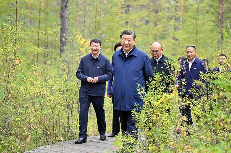 △2023年9月6日，習近平總書記在大興安嶺地區(qū)漠河市漠河林場自然林區(qū)考察。