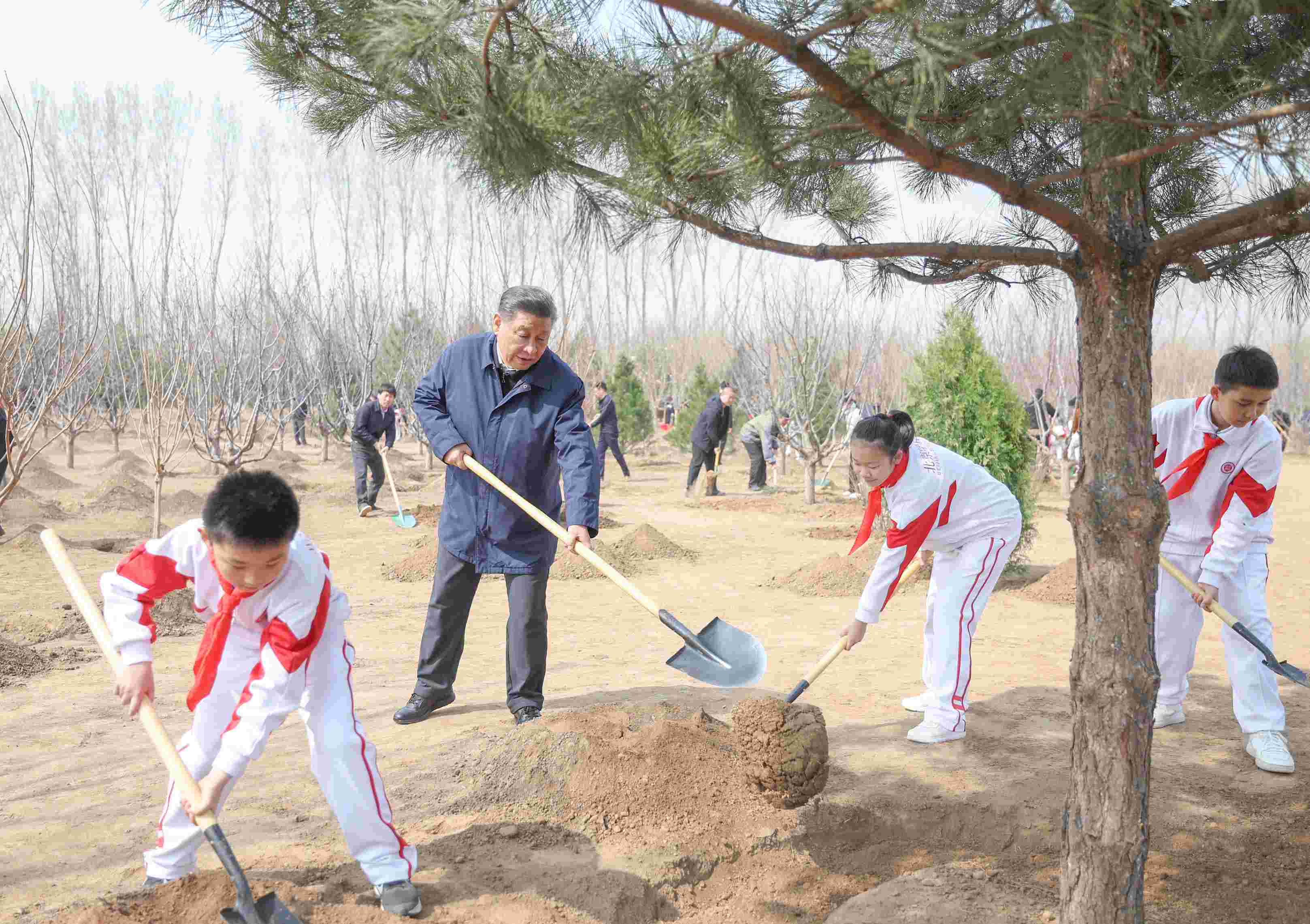 2024年4月3日，習近平總書記來到北京市通州區(qū)潞城鎮(zhèn)參加首都義務植樹活動。