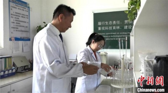 圖為王佐(左一)在廠區(qū)實(shí)驗(yàn)室內(nèi)工作。白先森 攝
