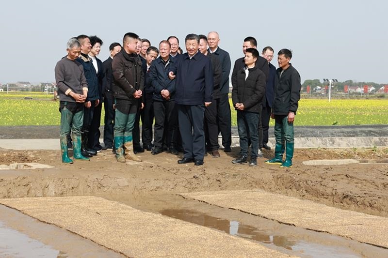 △2024年3月19日，在湖南常德市鼎城區(qū)謝家鋪鎮(zhèn)港中坪村，習(xí)近平總書記走進(jìn)田間，察看秧苗培育和春耕備耕進(jìn)展。