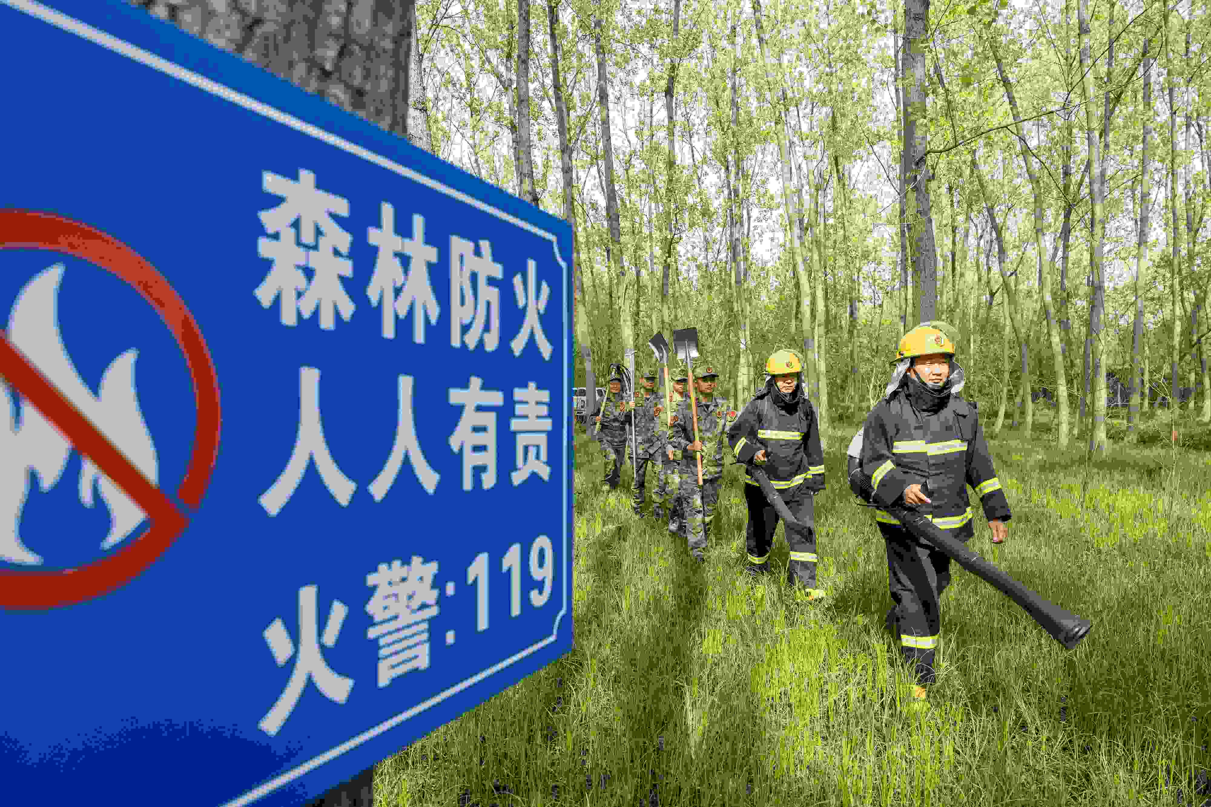 2024年4月9日，合肥市大房郢水庫(kù)水源保護(hù)地廬陽(yáng)經(jīng)濟(jì)開發(fā)區(qū)段，基干民兵正在林間巡查火災(zāi)隱患。