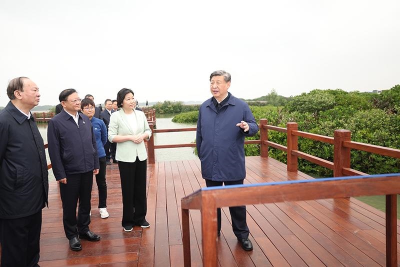 △2023年4月10日，習(xí)近平總書記在廣東湛江市麻章區(qū)湖光鎮(zhèn)金牛島紅樹林片區(qū)考察。