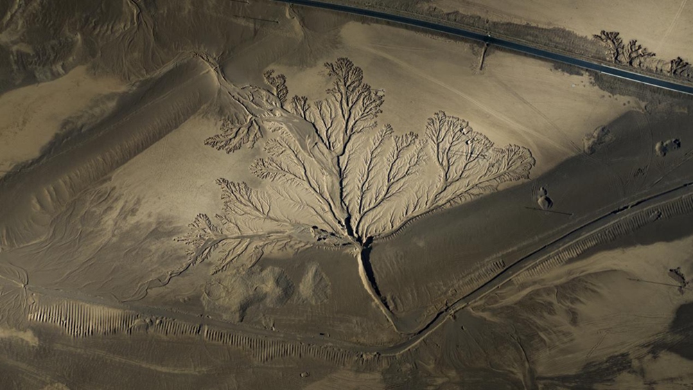 無人機視角下的西藏阿里地區(qū)改則縣“大地之樹”景觀。尼瑪多吉攝