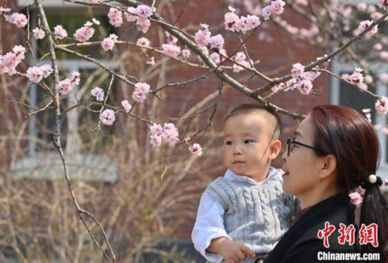 4月21日，游客在吉林大學(xué)南嶺校區(qū)賞花。張瑤 攝
