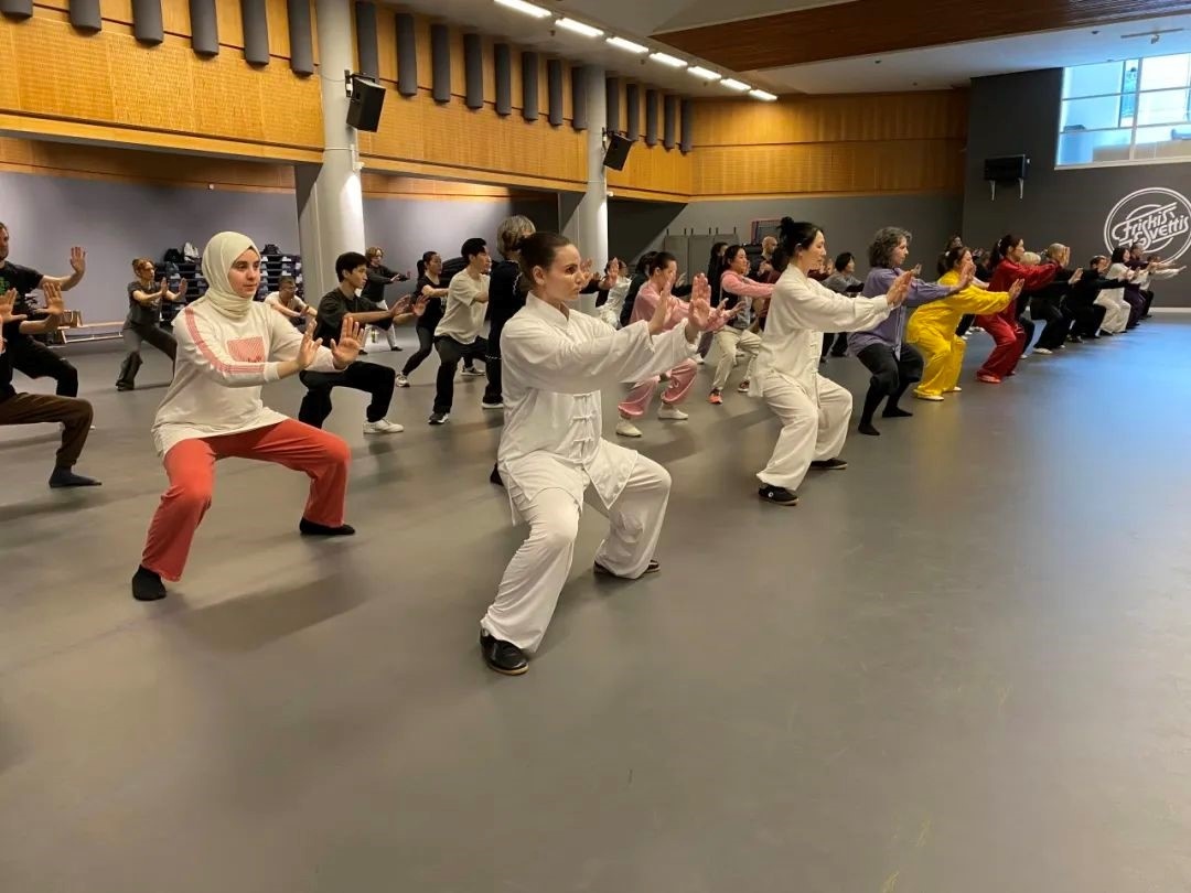 培訓(xùn)班學(xué)員學(xué)習(xí)太極拳。斯德哥爾摩中國文化中心供圖