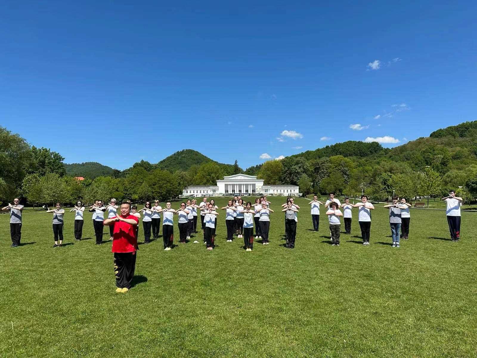 北京體育大學(xué)教授武冬帶領(lǐng)學(xué)員進行太極拳演練。布加勒斯特中國文化中心供圖