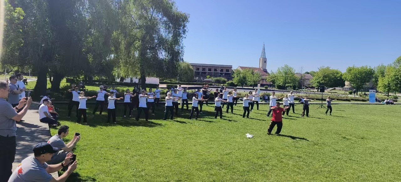 北京體育大學(xué)教授武冬做太極拳進階教學(xué)。布加勒斯特中國文化中心供圖