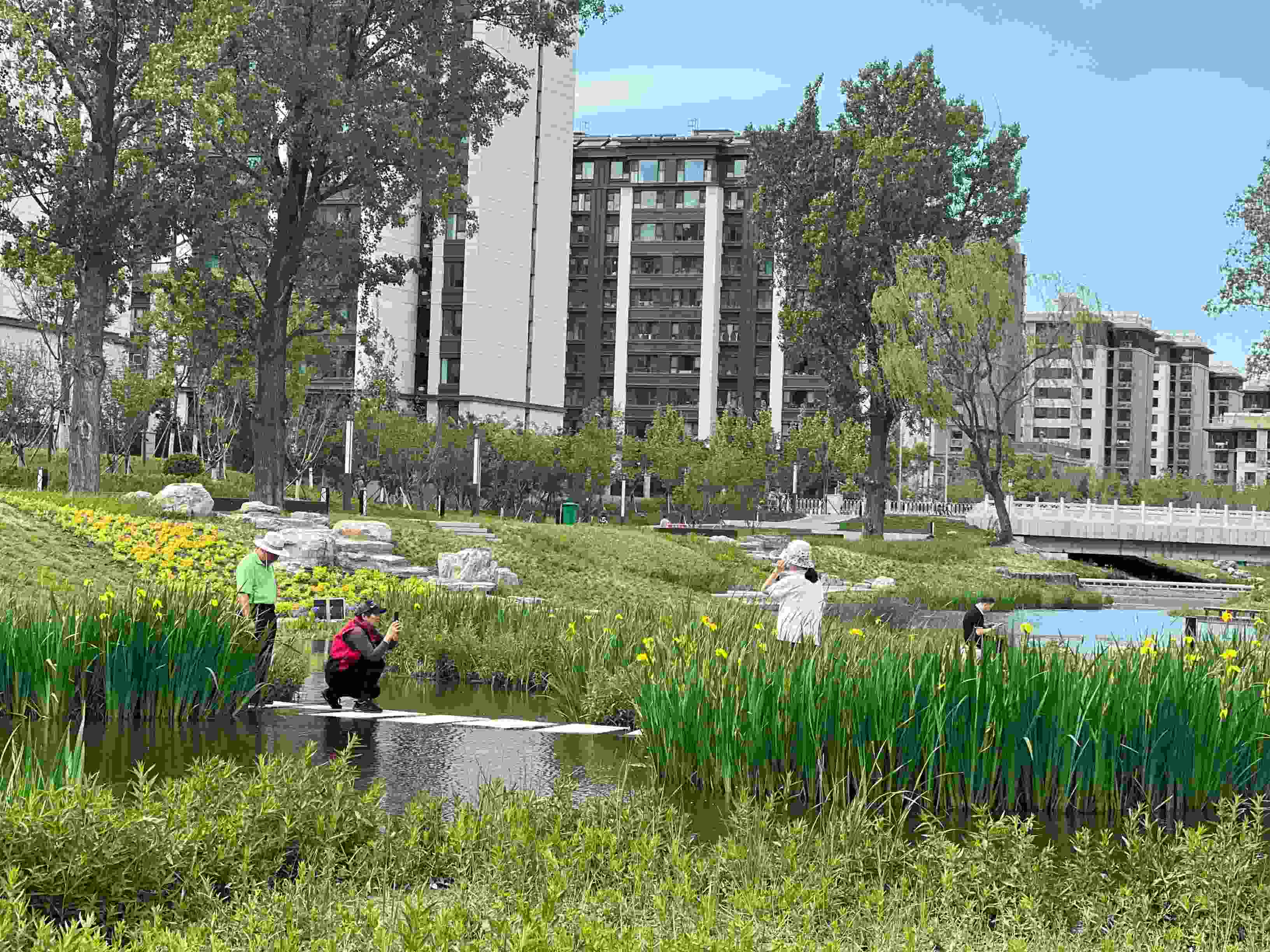 五一渠生態(tài)濱河公園內(nèi)，市民正在拍照留念。人民網(wǎng) 歐陽易佳攝