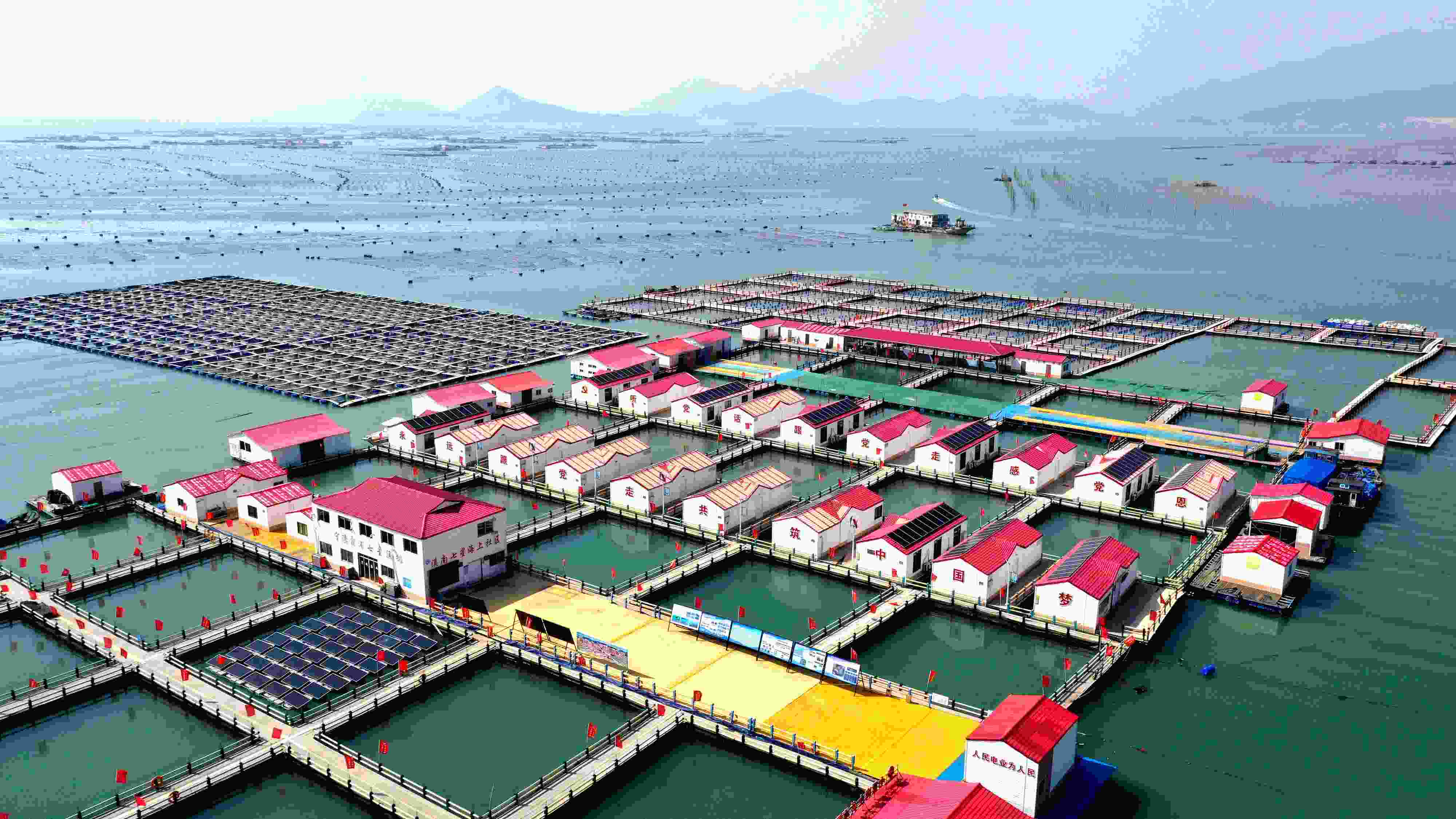 2024年3月20日，福建省寧德市，霞浦縣溪南鎮(zhèn)七星村漁排養(yǎng)殖示范區(qū)，漁民駕駛養(yǎng)殖船進行海參養(yǎng)殖作業(yè)。