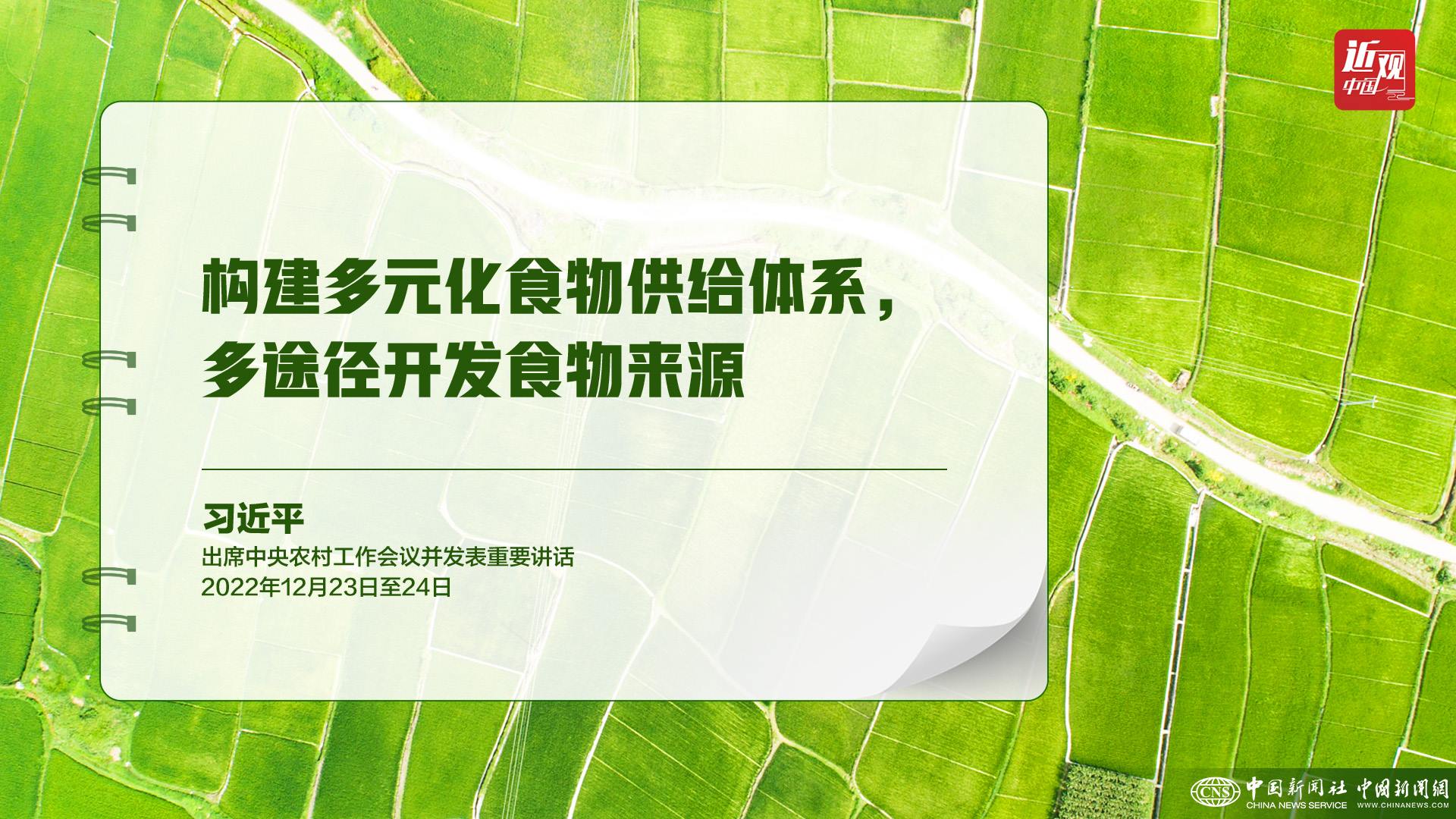 習(xí)近平：樹立大食物觀，構(gòu)建多元化食物供給體系
