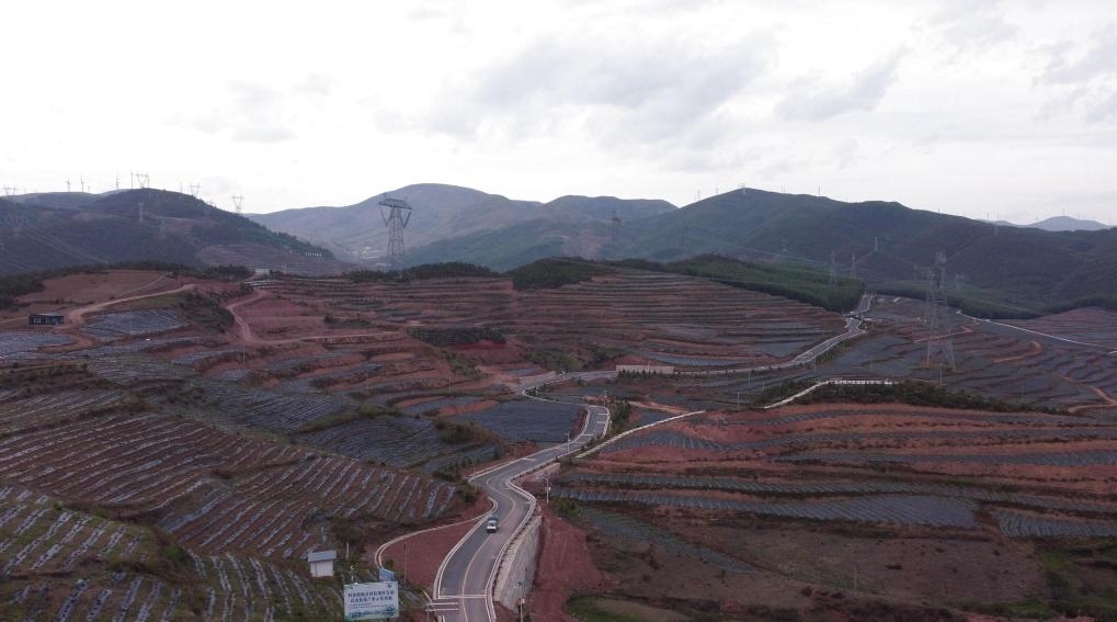 火普村的藍(lán)莓基地一角（無(wú)人機(jī)照片）。新華社記者 尹恒 攝