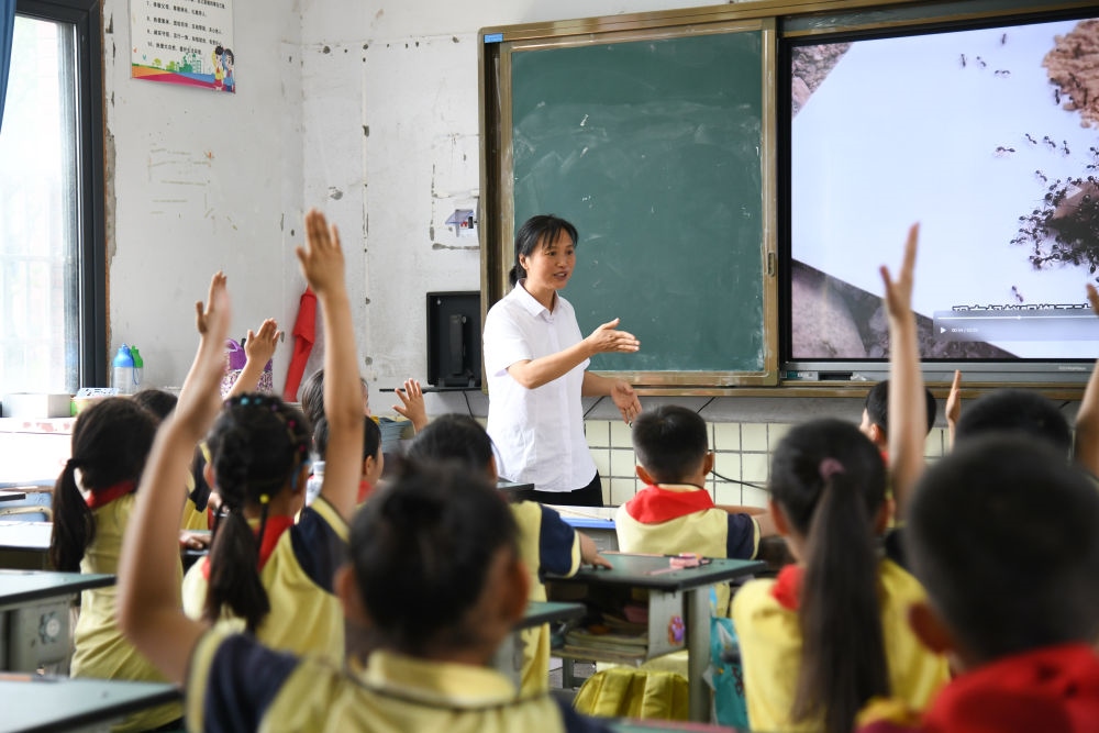 5月31日，學生在科學課上與老師互動。