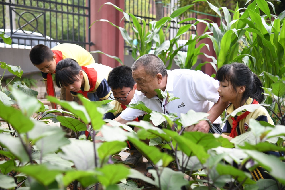 5月31日，老師帶領(lǐng)學(xué)生在之江小學(xué)勞動實踐基地學(xué)習(xí)蔬菜知識。新華社記者 胥冰潔 攝