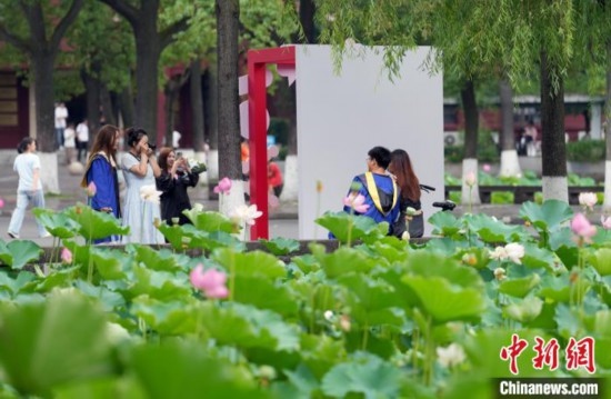 6月19日，時值一年畢業(yè)季，四川大學望江校區(qū)荷花池里的荷花盛開，成為了畢業(yè)生們的打卡圣地，吸引了眾多畢業(yè)生拍照留念。圖為畢業(yè)生在荷花池邊拍照留念。中新社記者 安源 攝