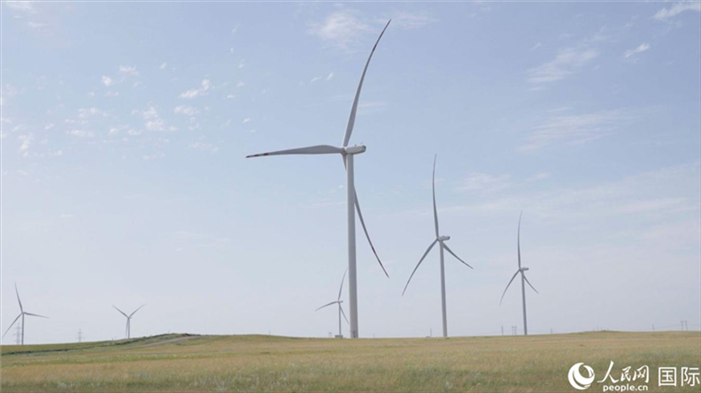 阿克莫拉州風電項目群風機。 人民網(wǎng)記者 葛泰佚攝