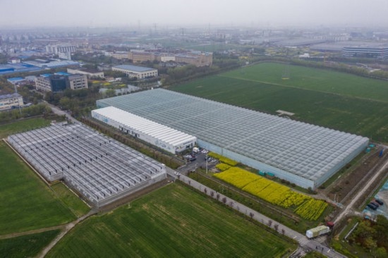 2024年3月28日，空中俯瞰嘉興南湖區(qū)湘家蕩農(nóng)業(yè)數(shù)字化工廠（無人機照片）。該農(nóng)業(yè)數(shù)字化工廠占地總面積約62畝，包含智慧農(nóng)業(yè)生產(chǎn)、物聯(lián)網(wǎng)智能管理、自動分揀包裝、保鮮儲藏物流、高科技示范展示等五大功能區(qū)，可直接或間接培養(yǎng)帶動新型職業(yè)技術(shù)農(nóng)民500人以上。新華社記者 徐昱 攝