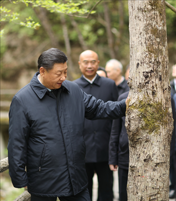2020年4月，習(xí)近平總書記來到位于商洛市柞水縣的秦嶺牛背梁國家級自然保護(hù)區(qū)，考察秦嶺生態(tài)保護(hù)情況。新華社記者 鞠鵬 攝