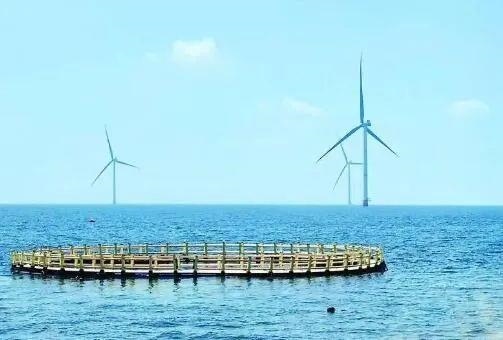 △山東萊州風(fēng)電項(xiàng)目實(shí)現(xiàn)了海上風(fēng)電和海洋牧場(chǎng)融合發(fā)展。