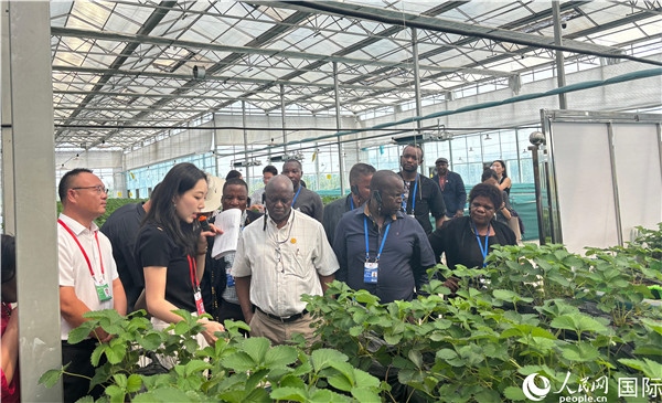 研討班成員在大棚中了解植物種植技術。人民網(wǎng) 曹欣悅攝