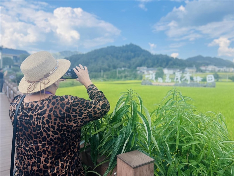 “我在花茂有塊田”，不僅是中國人的詩和遠方，也是塔吉克斯坦“阿維斯塔”通訊社總編輯占納特洪·庫爾班諾娃的“烏托邦”。（張亞欣攝）