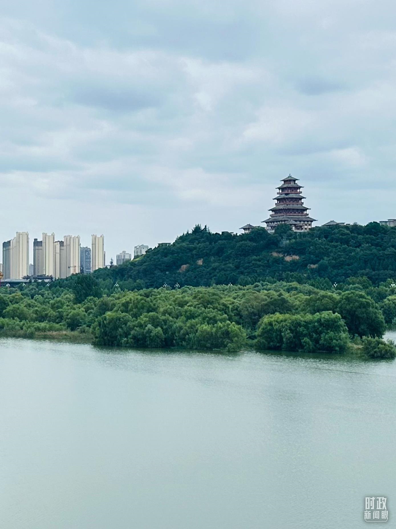 △渭河寶雞段長(zhǎng)224公里，目前建成17處渭河灘區(qū)生態(tài)涵養(yǎng)區(qū)。（總臺(tái)央視記者范一鳴拍攝）