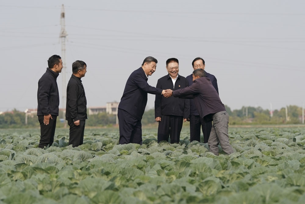 2024年11月5日，習(xí)近平在咸寧市嘉魚縣潘家灣鎮(zhèn)十里蔬菜長廊考察時，同菜農(nóng)親切交流。