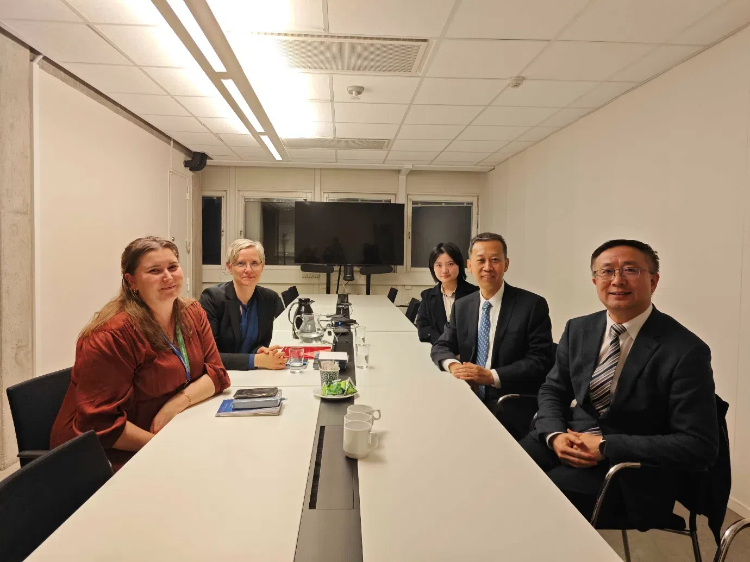 中國駐瑞典大使崔愛民會見瑞典聯(lián)合國教科文組織全國委員會秘書長。中國駐瑞典大使館供圖