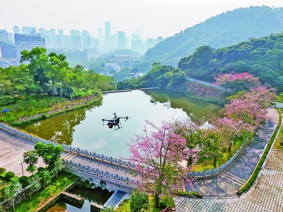 無(wú)人機(jī)在深圳塘朗山郊野公園里巡檢。新華社發(fā)
