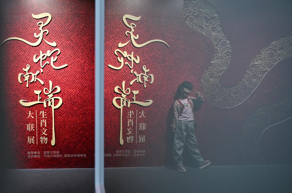 1月18日，一名小朋友在國(guó)家自然博物館舉辦的“靈蛇獻(xiàn)瑞——2025乙巳蛇年生肖文物大聯(lián)展”展覽中拍照留念。（新華社記者 陳鐘昊 攝）