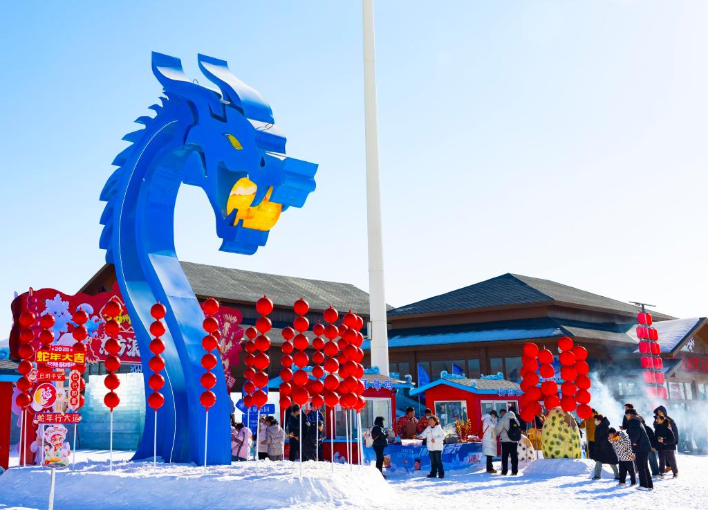 2025年1月，游客在遼寧錦州東方華地城海洋冰雪王國(guó)內(nèi)游覽。新華社發(fā)