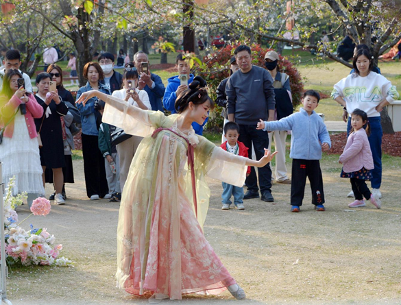 清明假期期間，上海顧村公園櫻花島上，游客在觀賞國風(fēng)漢服快閃表演。（圖片來源：視覺中國）