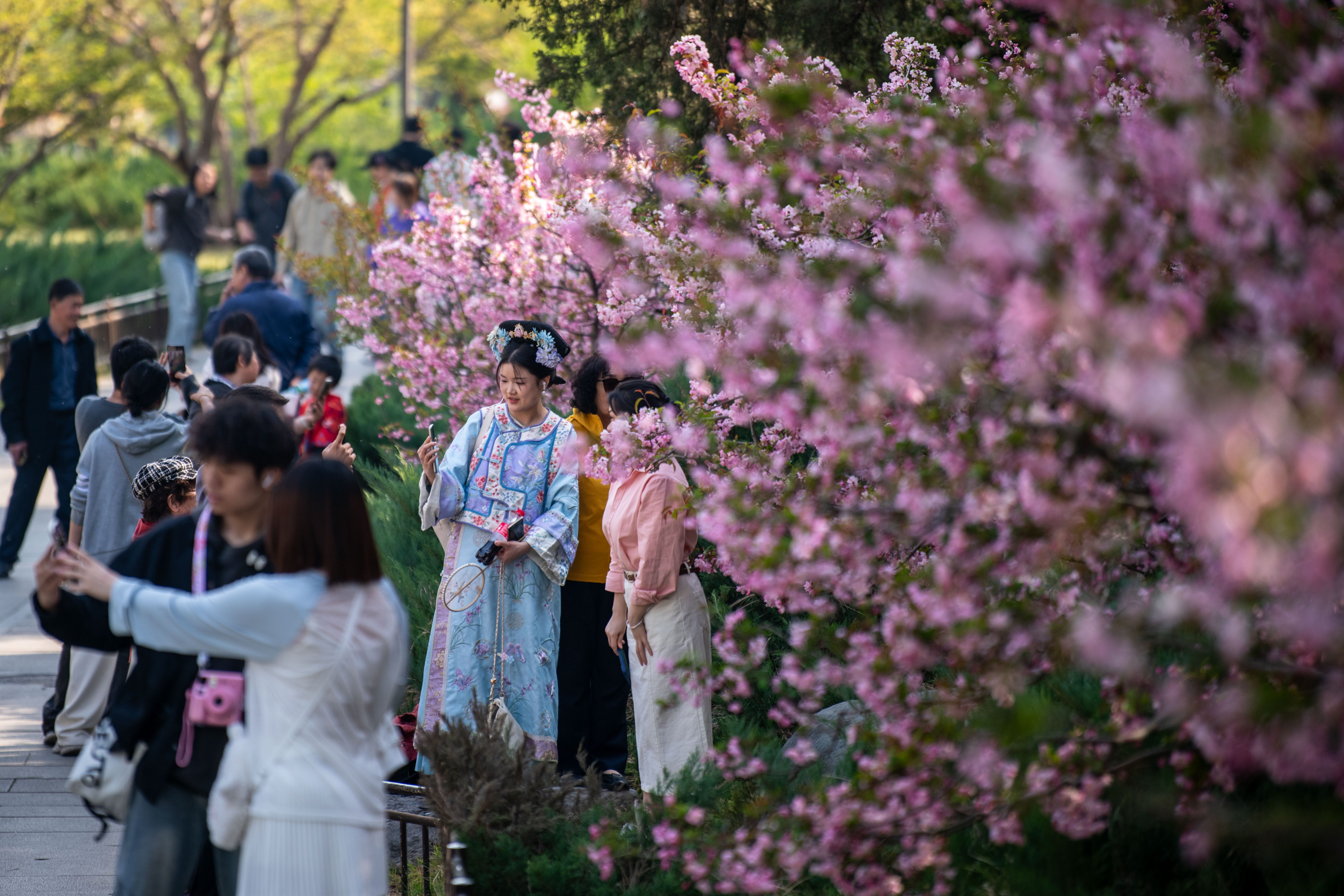 2025年4月6日，北京北海公園，滿園春色醉游人。人民網(wǎng)記者 翁奇羽攝