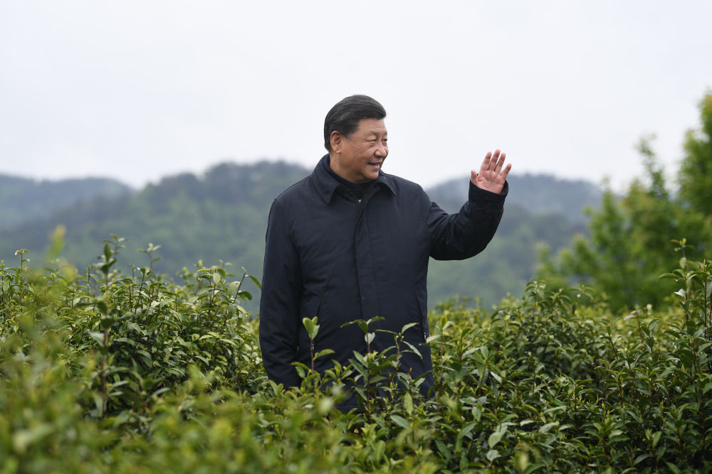 2020年4月21日，習(xí)近平總書記來到陜西安康市平利縣老縣鎮(zhèn)，在茶園考察脫貧攻堅情況。新華社記者 燕雁 攝